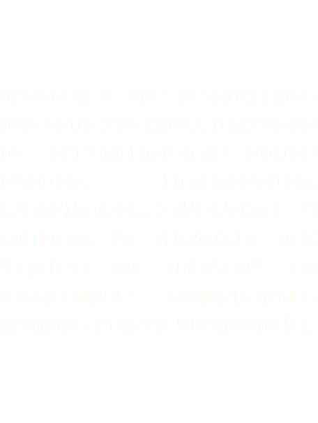  Ofrecer a los aficionados del club pachuca, un lugar de esparcimiento donde puedan interactuar, ejercitarse, divertirse y conocer la historia del "equipo de méxico" en difreentes exhibiciones regidas por la tecnología.